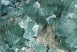 Cubic, Blue-Green Fluorite Crystals on Druzy Quartz - Fluorescent #185462-3
